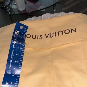 Louis Vuitton purse bag